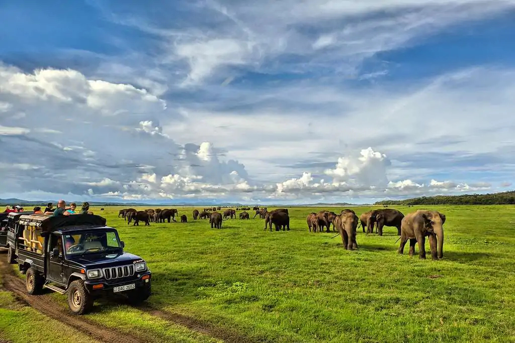 Kaudulla National Park