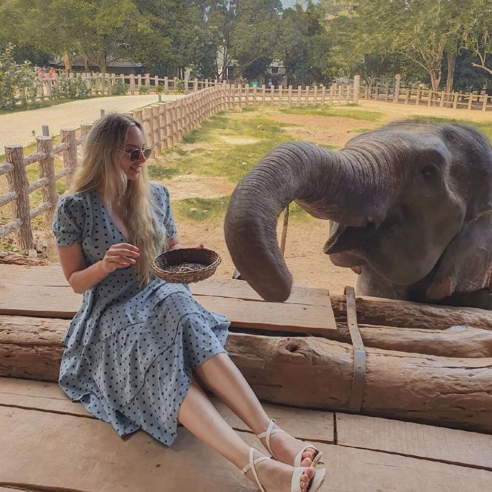 Wildlife & Safari Tours